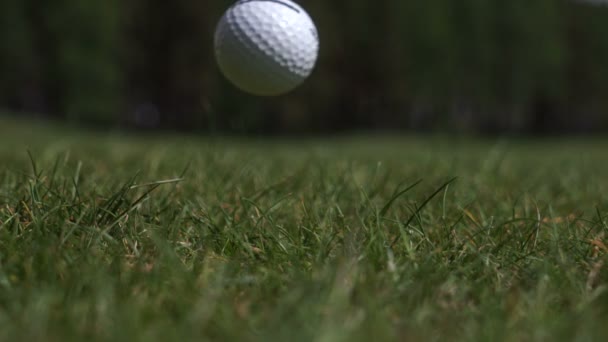 El palo en la pelota de golf — Vídeo de stock