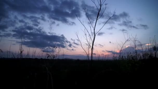 Landschaft der Natur bei Sonnenuntergang. Videoaufnahmen aus dem Auto — Stockvideo
