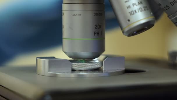 Le médecin examine le liquide séminal au microscope — Video