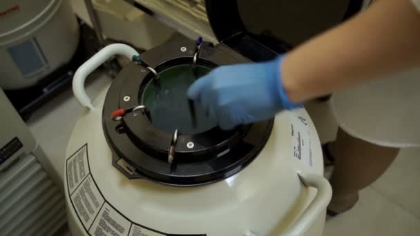 Congelar el líquido seminal del donante en nitrógeno líquido. La máquina para la congelación de esperma — Vídeo de stock