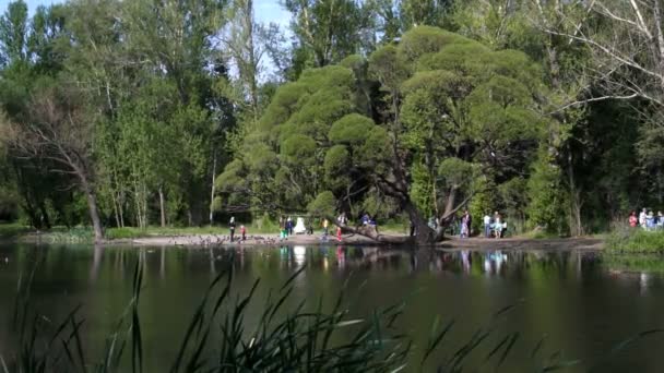 夏の都市の公園の午後の風景 — ストック動画