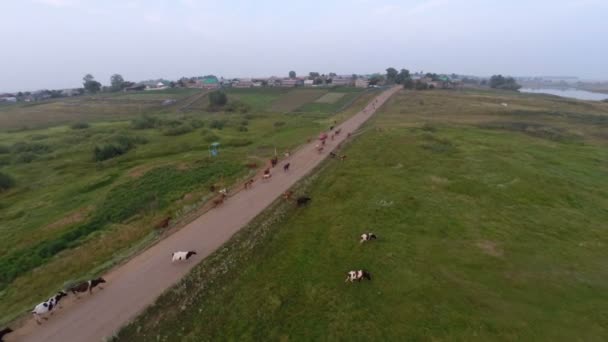 Soirée dans le village