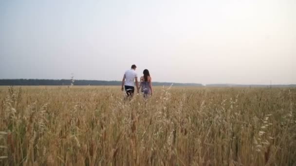 Para zakochanych, chodzenie w polu — Wideo stockowe