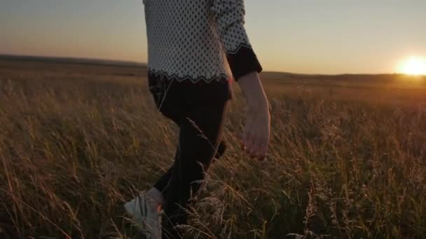 Mooi meisje wandelingen op het veld — Stockvideo