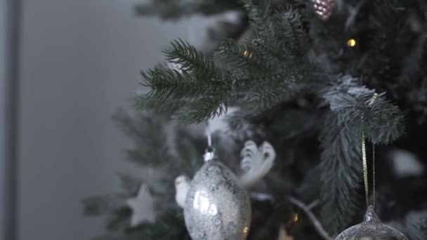 Αγόρι στολίζει το χριστουγεννιάτικο δέντρο — Αρχείο Βίντεο