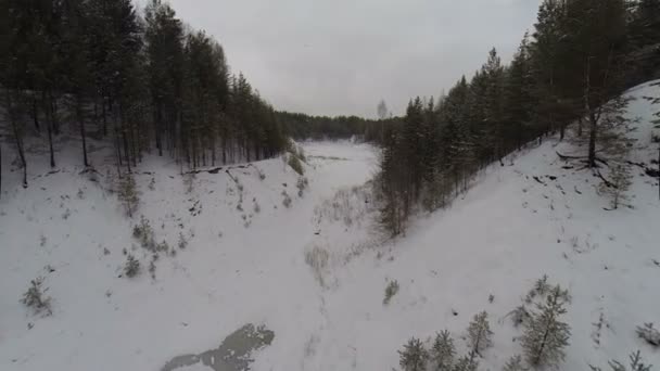 Aerial: winter wonderland black forest — Stock Video