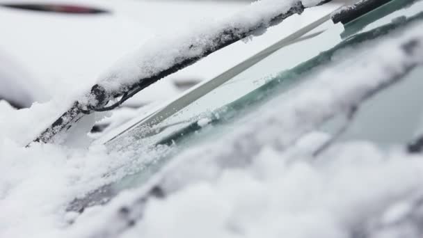 Ruitenwissers borstelen weg sneeuw van de voorruit van een auto 's — Stockvideo