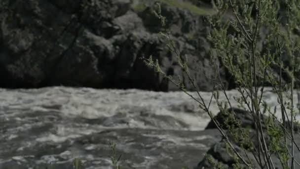 Ποταμός Ουράλης με ταχεία ρεύμα — Αρχείο Βίντεο