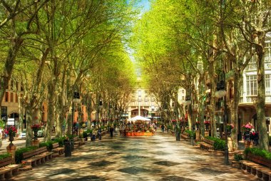 Palma de Mallorca, İspanya, Avrupa'nın Bulvarı Born