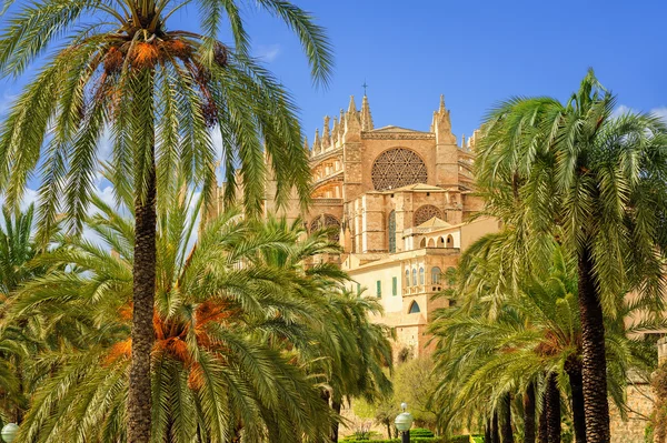 La Seu, catedral gótica medieval, Palma de Mallorca, España —  Fotos de Stock