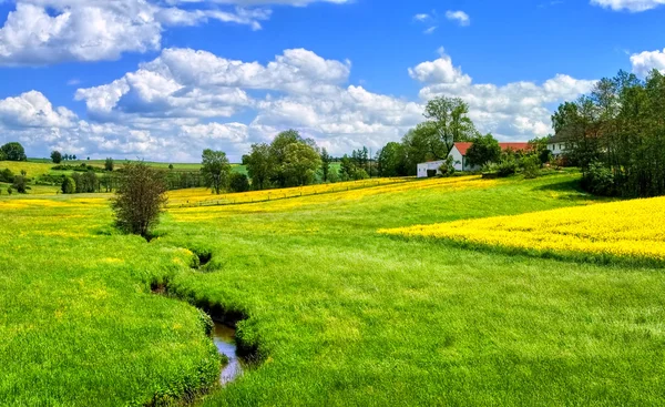Paesaggio rurale tedesco con torrente e campo di colza gialla — Foto Stock