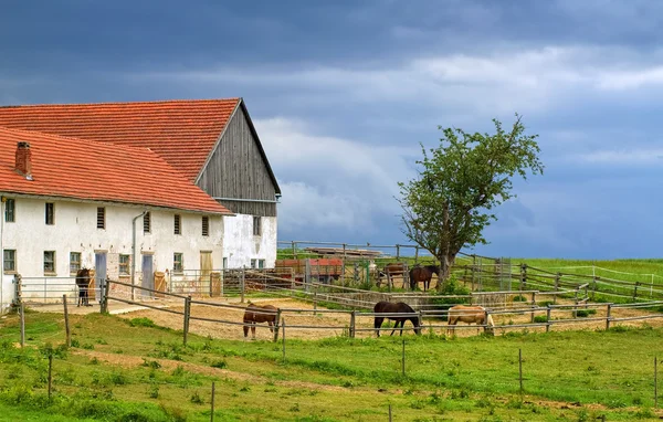 Maison de ferme traditionnelle en tuiles rouges avec chevaux en Bavière, Allemagne — Photo