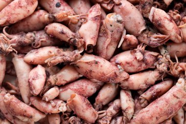 Çiğ Cumi Asin, Bebek Tuzlu Kalamar, Tam Çerçeve Tam Arkaplan 