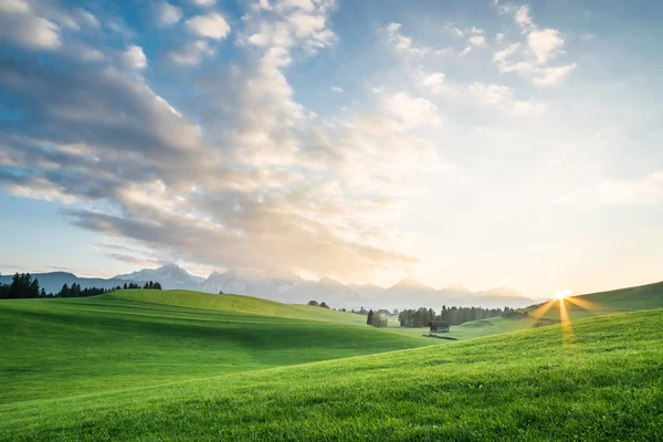 Paisaje con campo verde — Foto de Stock