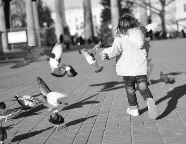 Una silueta de una niña corriendo tras palomas — Foto de Stock