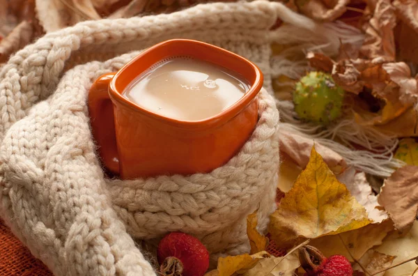 Sonbahar bir kavram - turuncu fincan süt çay, temsil eden bir kompozisyon bir bej örme eşarp, Kuru ağaç yaprakları, kalça, kestane ve tarçın