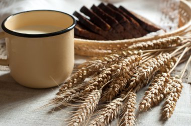 Kucak dolusu kulaklar, taze ekmek ve süt keten peçete ile hasır bir tepsi üzerinde metal bir fincan