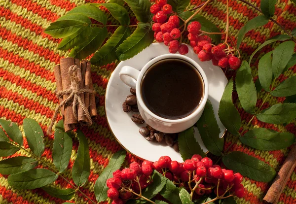 A bright autumn composition with a cup of hot strong coffee, cinnamon sticks, coffee beans and a bunch of ash berries on a colorful knitted fabric — Stock Photo, Image