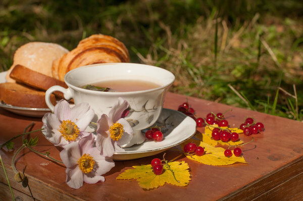 A cup of herbal tea, a plate of fresh pastry, yellow autumn leaves, ripe red currants and garden flowers on a wooden suitcase