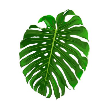 Canavar koleksiyonu bırakır.