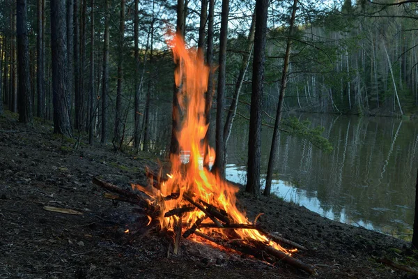 Wieczorem ognisko nad brzegiem rzeki — Zdjęcie stockowe