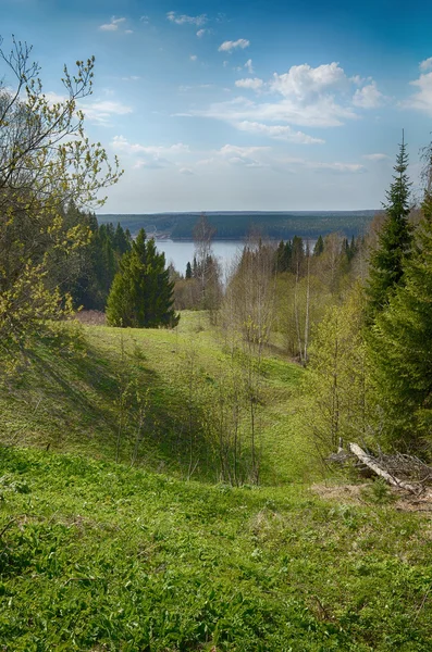 Floden och våren skog. — Stockfoto