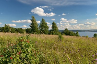 Çayır tepe üzerinde.