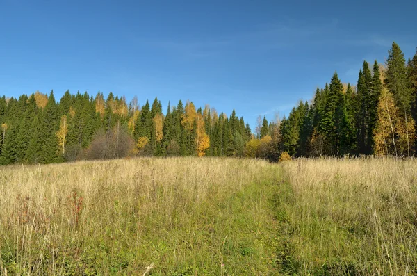 Kolorowy krajobraz jesień — Zdjęcie stockowe