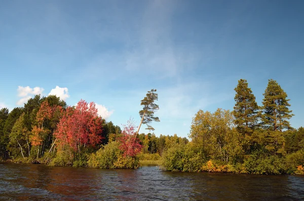 Malerische, farbenfrohe Herbstlandschaft. — Stockfoto