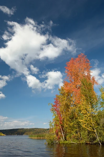 Paysage d'automne pittoresque et coloré . — Photo