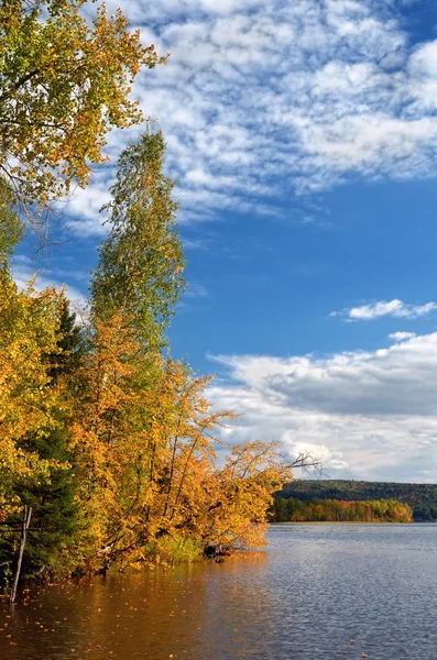 美しい、色鮮やかな秋の風景. — ストック写真