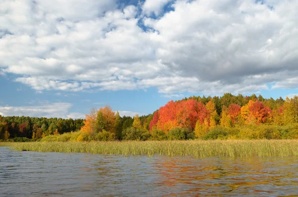 Malebné, barevné podzimní krajina. — Stock fotografie