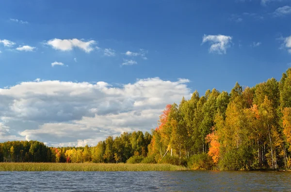 Picturesque, colorful autumn landscape. Stock Photo