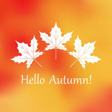 akçaağaç sonbahar arka plan bulanık turuncu vektör yaprak