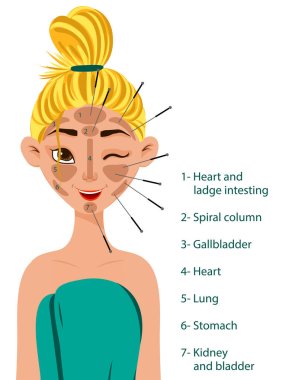 Yüz bölgeleri akupunktur şeması olan bir kız. Çizgi film tarzı. Vektör illüstrasyonu
