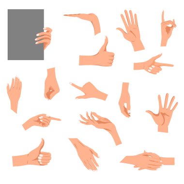 Hands gestures isolated on white background. Colored woman's hand gesture set with manicured nails vector illustration clipart