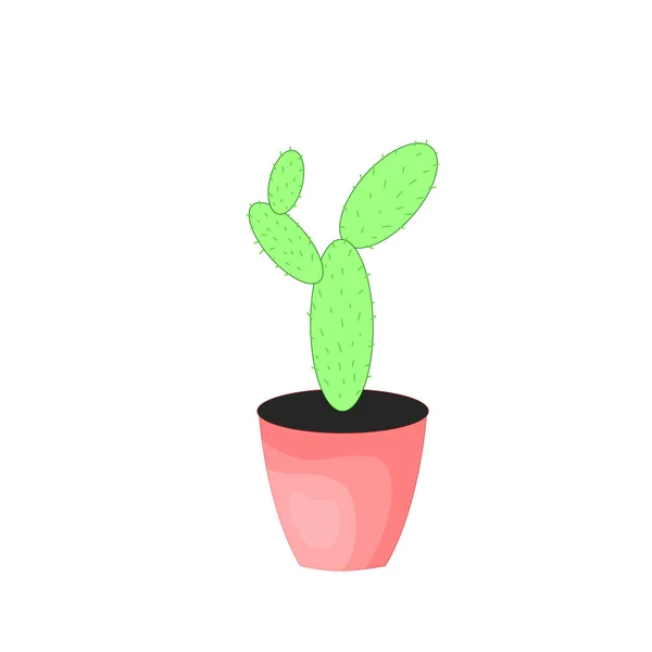 Deux cactus verts dans un pot, illustration vectorielle — Image vectorielle