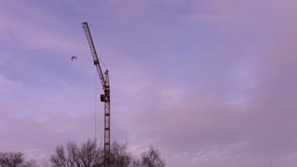 Crane slingerbewegingen in de wind — Stockvideo