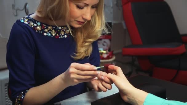 Manicura pinta las uñas del cliente — Vídeos de Stock