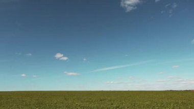 Yeşil alan ve mavi gökyüzü timelapse
