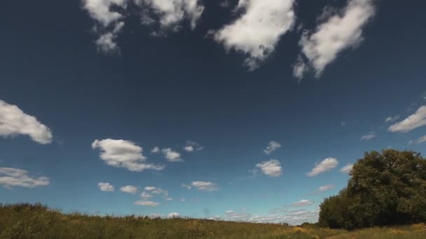 녹색 필드 위에 timelapse 구름 — 비디오