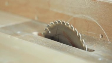 Daire testere çalışmaya başlar