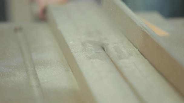 Cortar la tabla de madera con la sierra circular — Vídeos de Stock