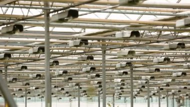 Sera içinde aydınlatma sistemi