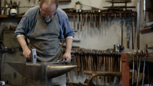 Forgeron mâle forge du métal dans la forge — Video