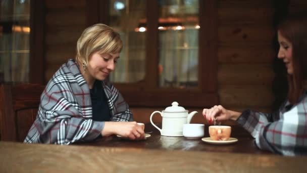 Девушки говорят и пить чай фарфоровый чайник — стоковое видео