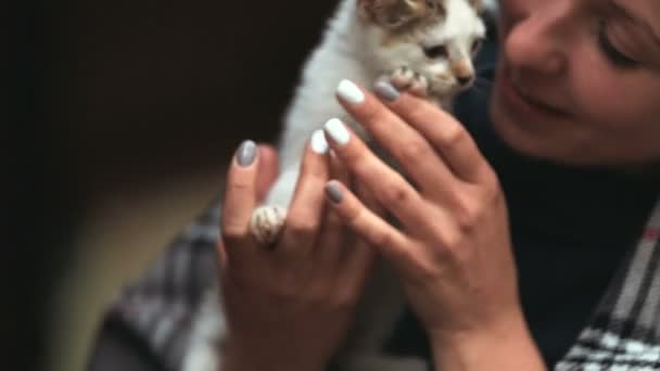 Ragazza tiene un gattino tra le mani e accarezzando — Video Stock