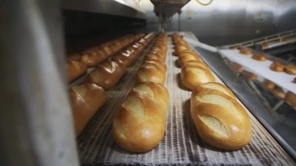 Padaria Mecanizada. Produção de pão — Vídeo de Stock