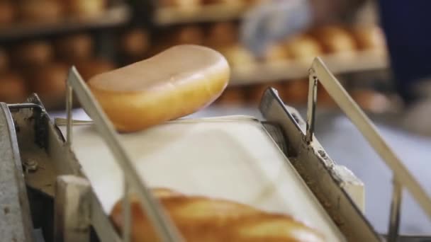 Panadería mecanizada. Producción de pan — Vídeos de Stock