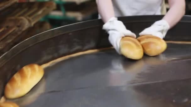 Brot auf einem Förderband. Brotproduktion — Stockvideo